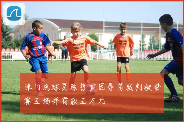 津门虎球员陈哲宣因辱骂裁判被禁赛五场并罚款五万元